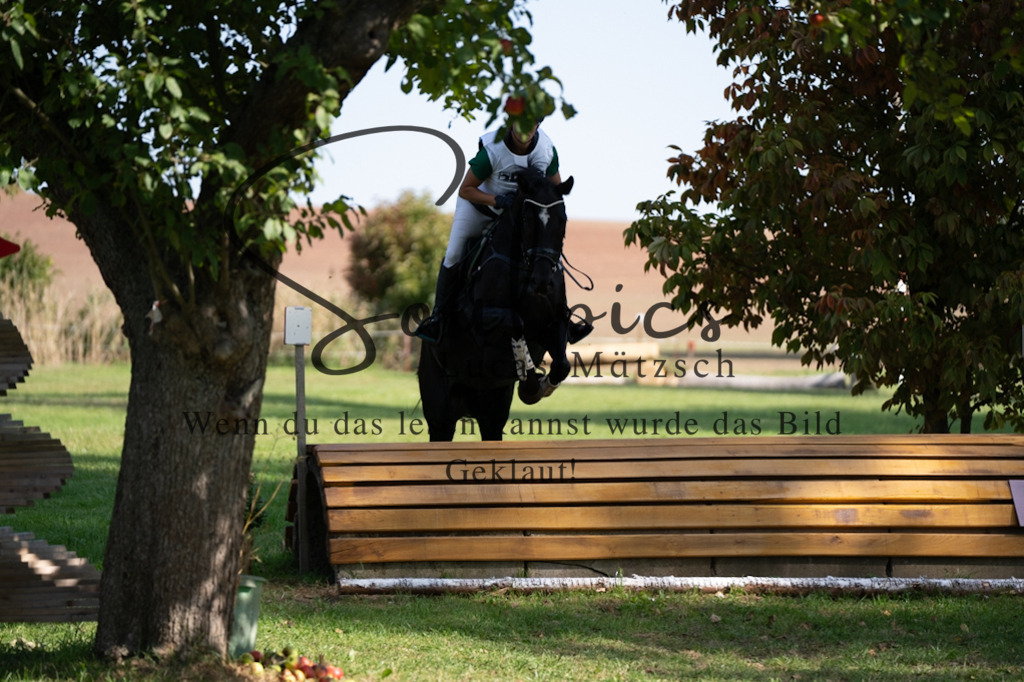 A7V03417 | Pferdefotograf