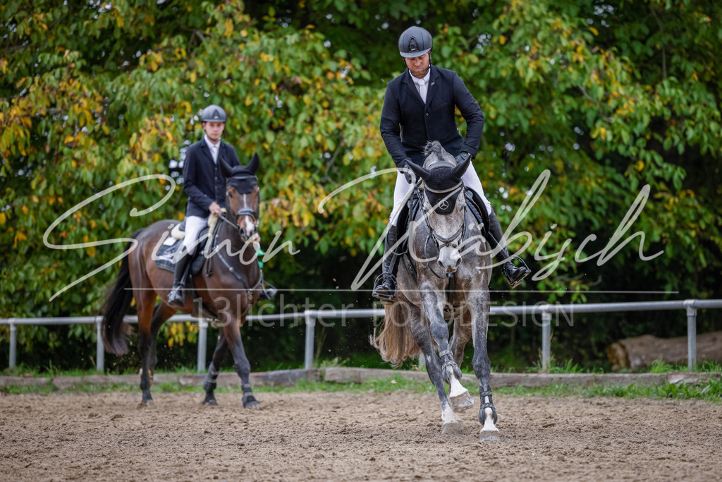 20251012-_3LI4278 | Tierfotografie Pferde, Hunde, Katzen, Haustiere.
Turnierfotografie Reitturniere, Reiten, Springreiten, Dressur in Hanau, dem Main-Kinzig-Kreis und dem Rhein-Main- Gebiet um Frankfurt