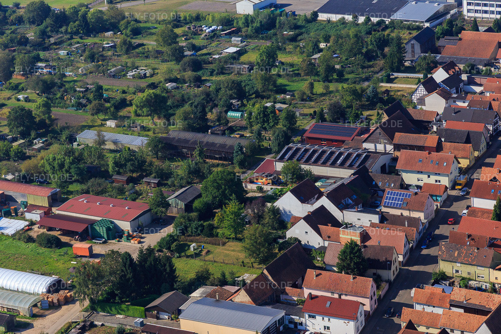 Luftbild: Rheinstraße aus Nordosten in Kandel im Bundesland Rheinland-Pfalz in Deutschland. Foto: IMG_095009.jpg vom 24.09.2016 durch Werner Riehm/FLY-FOTO.de