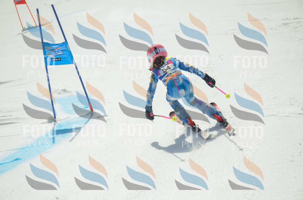 _ELE5239 | holidayphoto