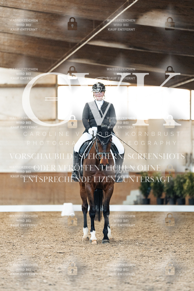 CK909340 | Turnierfotografie Pferdefotografie Trier Rheinland-Pfalz Pferdesport Reitsport Tierfotografie Sportfotografie Pferdevideo Pferdevideografie Equestrianvideography equestrianphotography  - Realisiert mit Pictrs.com