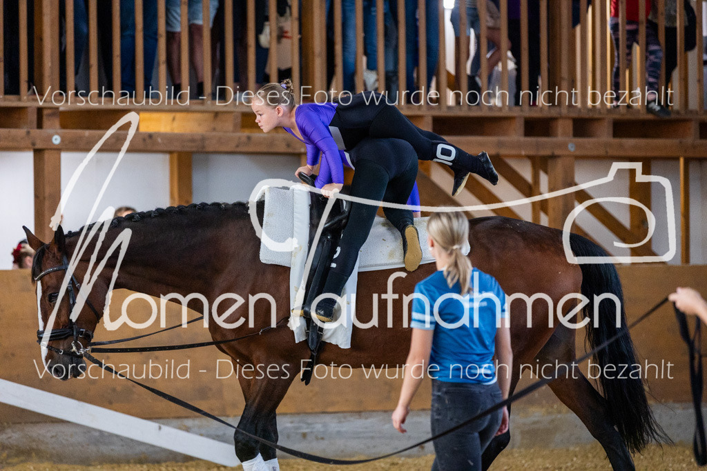 SS-Maxi-212 | MomenTaufnahmen Pferdesportfotos