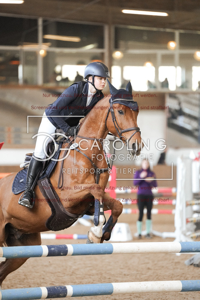 DSC00100 | Reitturnier_Göppingen_April_2026, Anna_Marlin_Stollwerck, Sheamus_HR