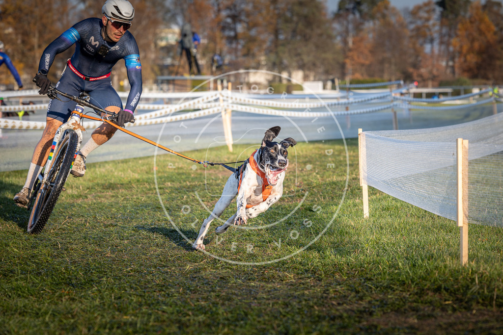 CaniXpix_0L8A3686 | Hundefotografie, Tierfotograf, Pfotenfotografie, Fotoshooting Hund, Hunde Portrait, Hundesport, Hundeportraits, Heideshooting, Hunde, Sportfotograf, Hundefotograf, Turnierhundsport, THS,  - Realisiert mit Pictrs.com