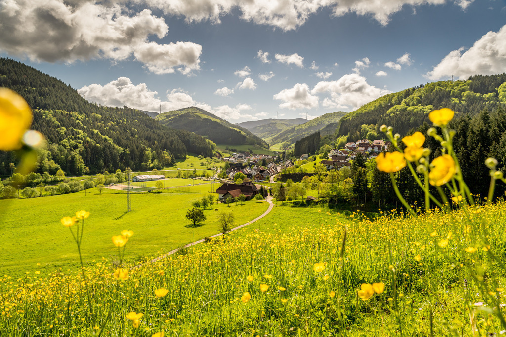 muehlenbach_1605-14 | <div id="allefotografen-seal-verified-green"></div><script src="https://www.allefotografen.de/956728/seal-verified-green/seal.js" async="async"></script> - Realisiert mit Pictrs.com