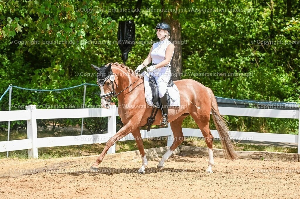 20230716_03_Dressurprfg. Kl.L - Tr._0473 | equistock
