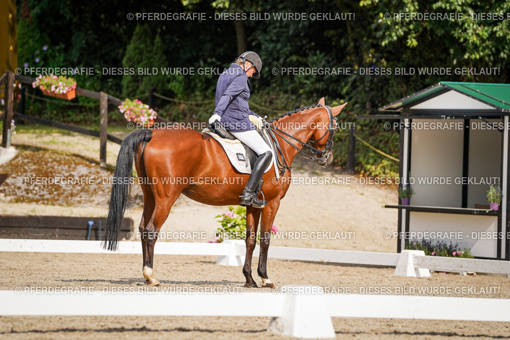 DSC07285 | Pferdegrafie