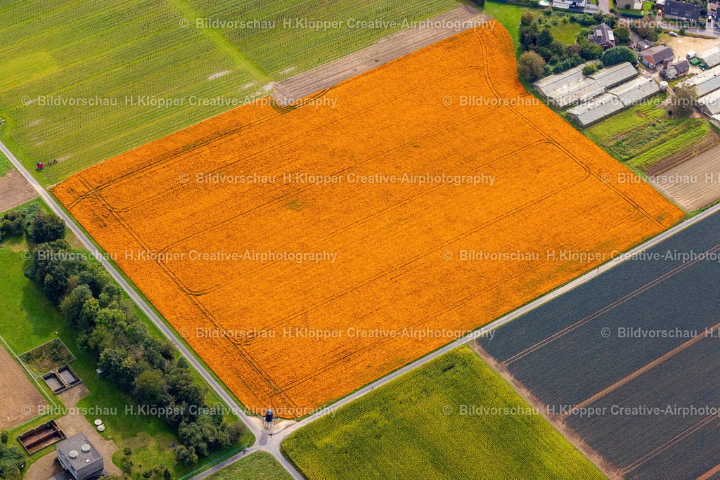 Luftbild Viersen  439A4450 | Luftbilder und Luftbildfotografie , Digital und Printbilder auf Leinwand , Alu Dibond , Acrylglas , Poster oder Download-Datei für private und gewerbliche Verwendung im Shop online bestellen. - Realisiert mit Pictrs.com