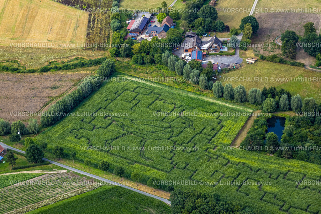 Hamm250706019West | Luftbild, Maisfeld Irrgarten Labyrinth mit Vogelmotiv Feldvogel Kiebitz am Hof Schulze Blasum, Stockum, Werne, Ruhrgebiet, Nordrhein-Westfalen, Deutschland