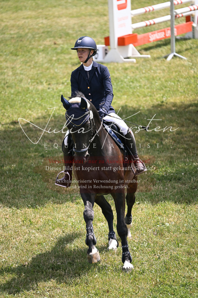 DSC_9448 | Pferde- und Turnierfotografie in Westsachsen. Pferdeportraits, Auftragszeichnungen und intuitive Kunst.