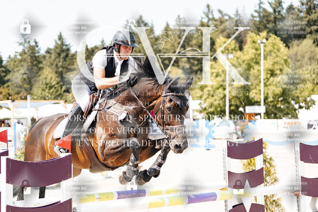 CK901370 | Turnierfotografie Pferdefotografie Trier Rheinland-Pfalz Pferdesport Reitsport Tierfotografie Sportfotografie Pferdevideo Pferdevideografie Equestrianvideography equestrianphotography  - Realisiert mit Pictrs.com
