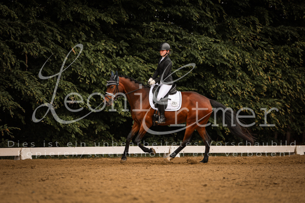 DoDrE00117 | Leoni Ertmer Photography - Realisiert mit Pictrs.com