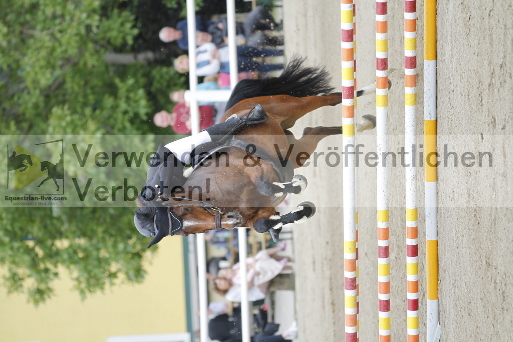 _MG_0948 | equestrian-live-com