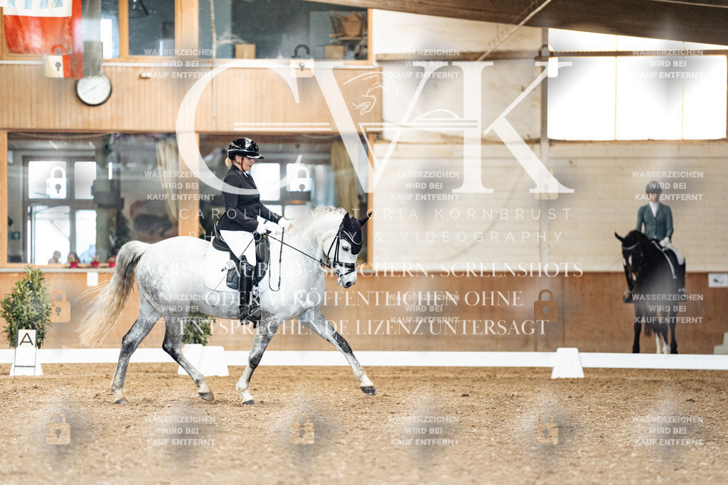 CK900907 | Turnierfotografie Pferdefotografie Trier Rheinland-Pfalz Pferdesport Reitsport Tierfotografie Sportfotografie Pferdevideo Pferdevideografie Equestrianvideography equestrianphotography  - Realized with Pictrs.com