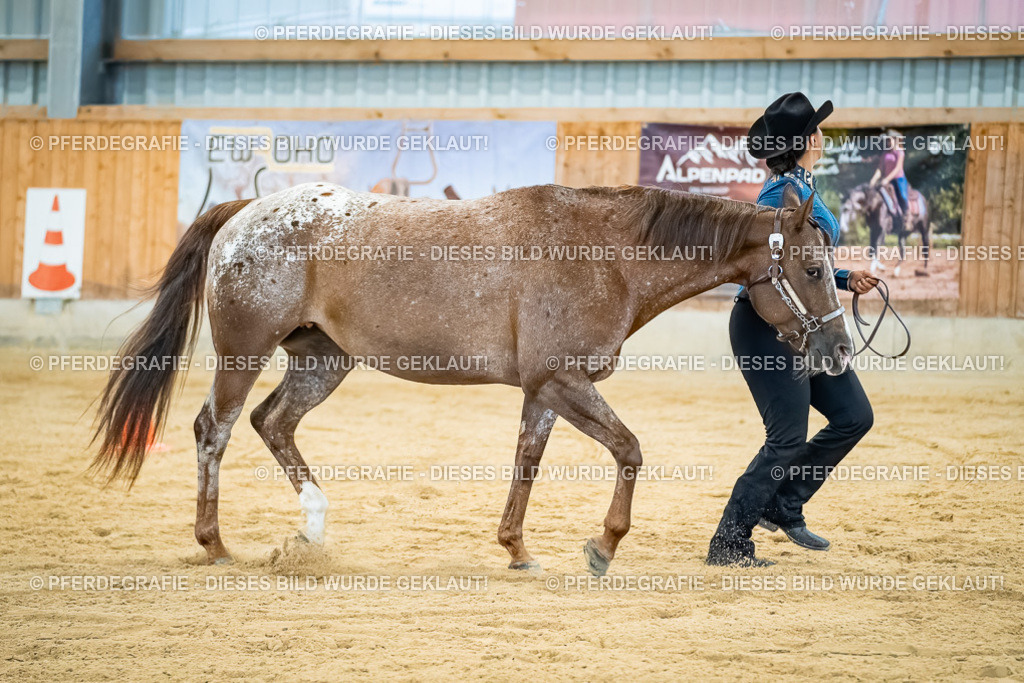 DSC09768 | Pferdegrafie