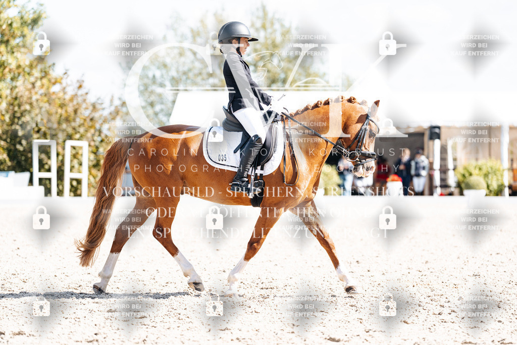 CK903067 | Turnierfotografie Pferdefotografie Trier Rheinland-Pfalz Pferdesport Reitsport Tierfotografie Sportfotografie Pferdevideo Pferdevideografie Equestrianvideography equestrianphotography  - Realisiert mit Pictrs.com