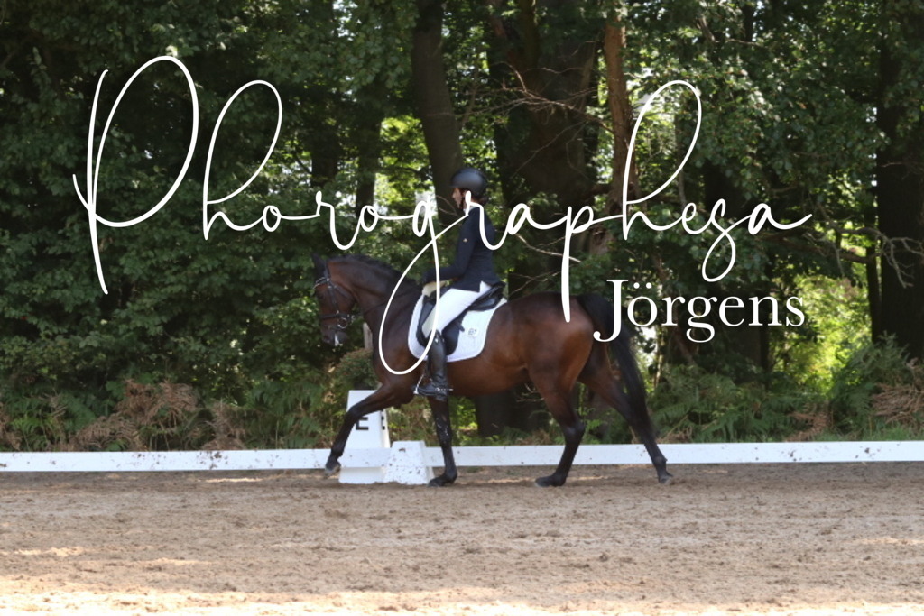 IMG_0547 | photographesa-joergens - Realisiert mit Pictrs.com