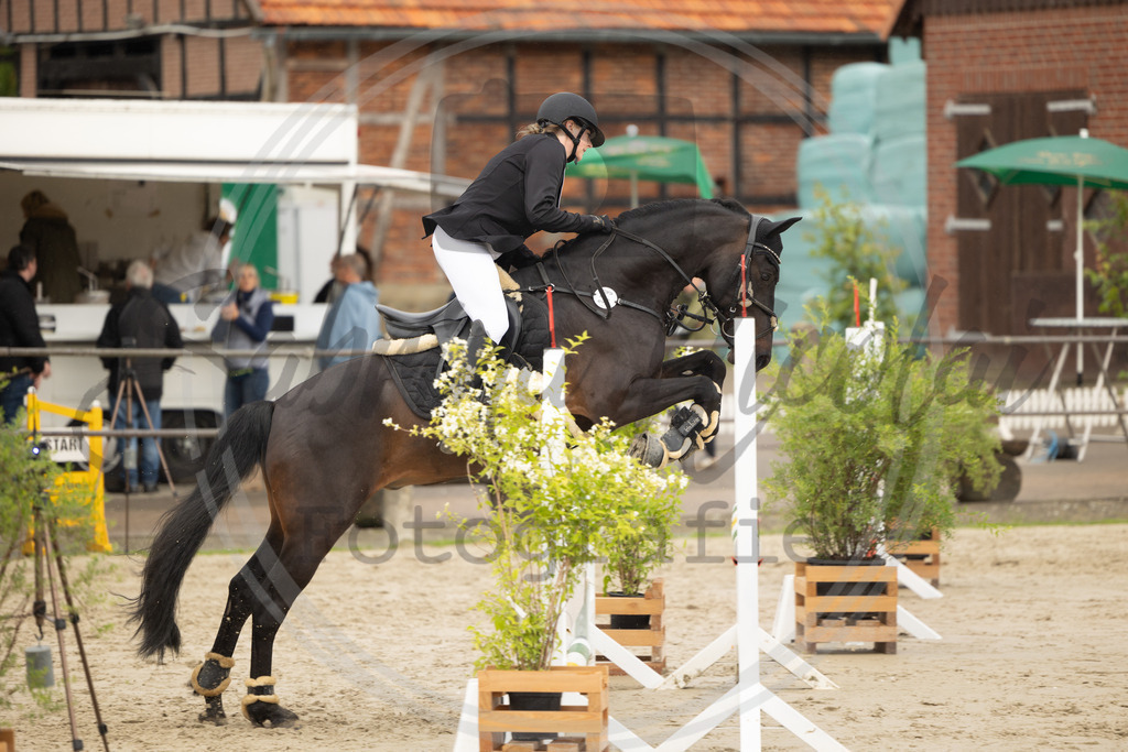 994A9189 | sabrinanicolaifotografie - Realisiert mit Pictrs.com