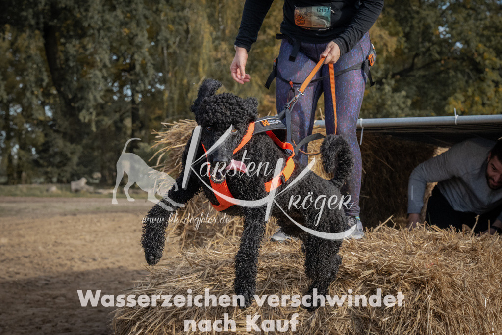 1043_ZZ99115 | kk-dogfotos