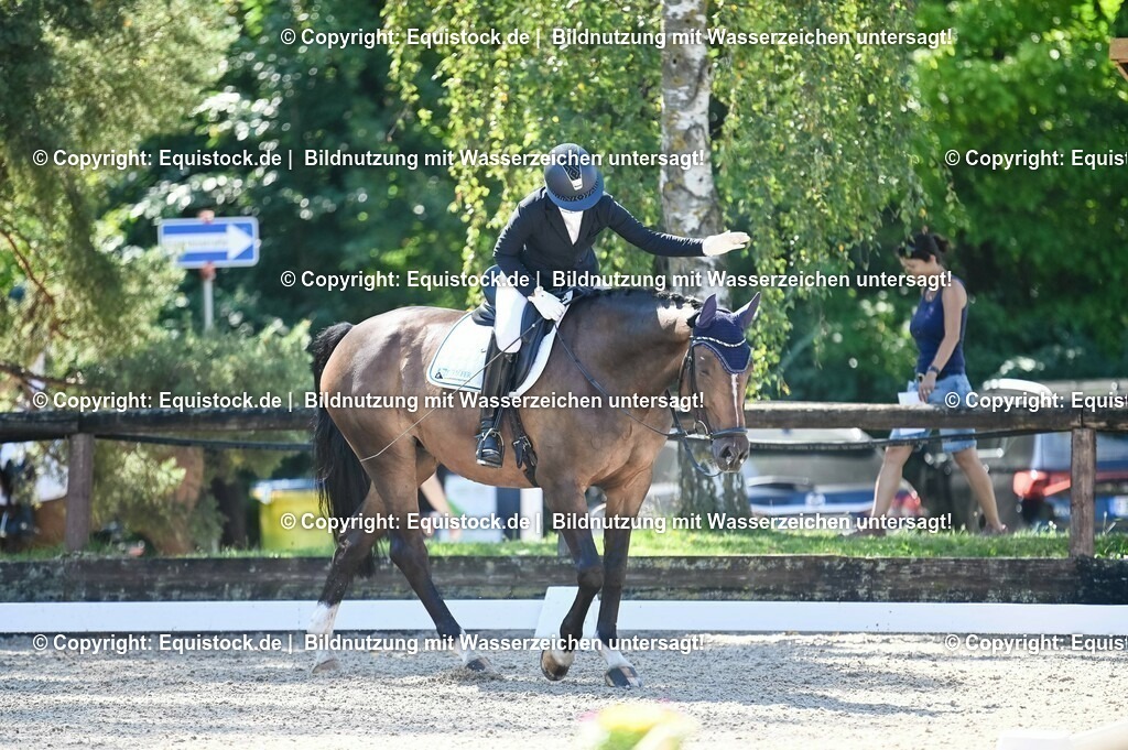 20230908_06_Dressur-L-Trense_0467 | equistock