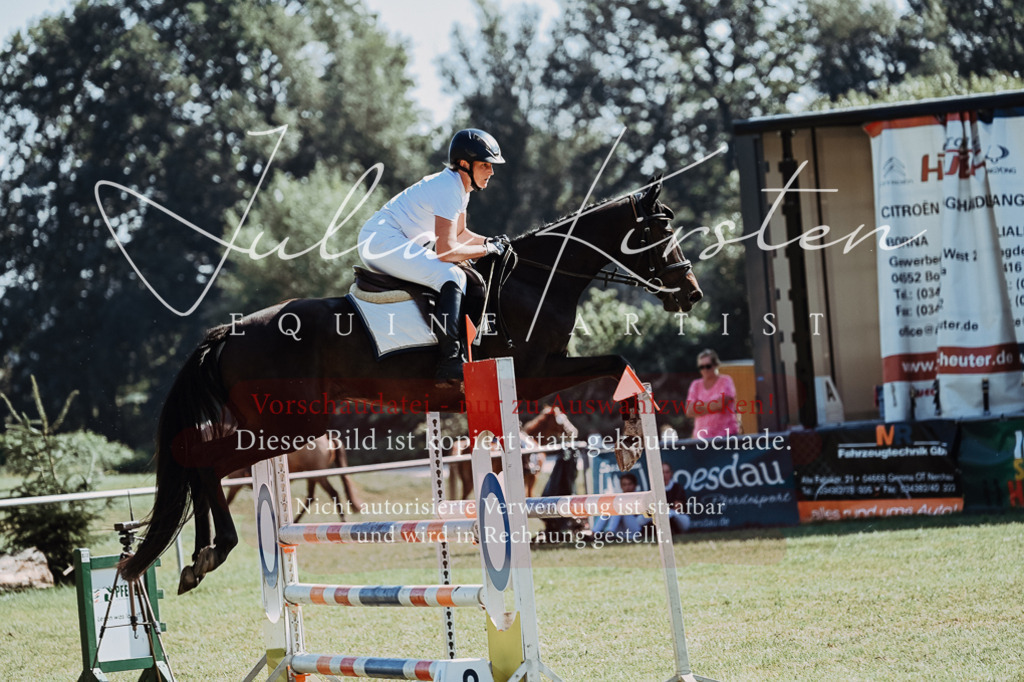 DSC_5693 | Pferde- und Turnierfotografie in Westsachsen. Pferdeportraits, Auftragszeichnungen und intuitive Kunst.