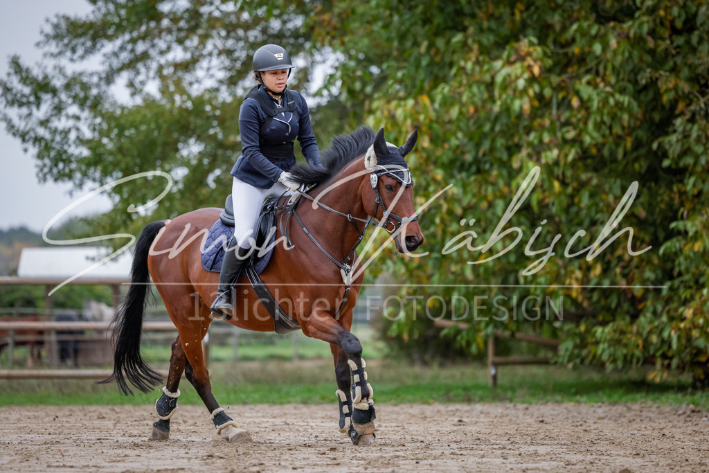 20251012-_3LI2791 | Tierfotografie Pferde, Hunde, Katzen, Haustiere.
Turnierfotografie Reitturniere, Reiten, Springreiten, Dressur in Hanau, dem Main-Kinzig-Kreis und dem Rhein-Main- Gebiet um Frankfurt