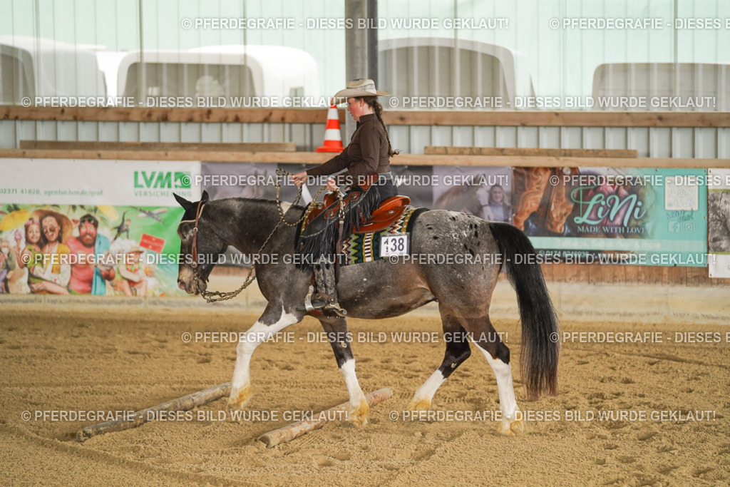 DSC04771 | Pferdegrafie