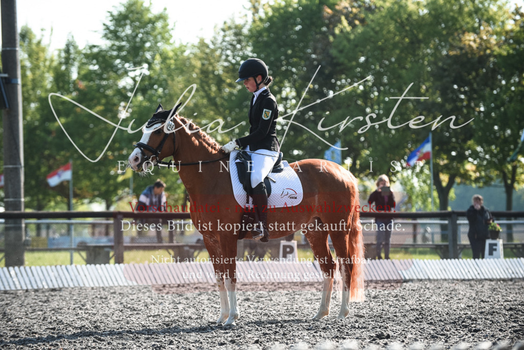 DSC_8270 | Pferde- und Turnierfotografie in Westsachsen. Pferdeportraits, Auftragszeichnungen und intuitive Kunst.