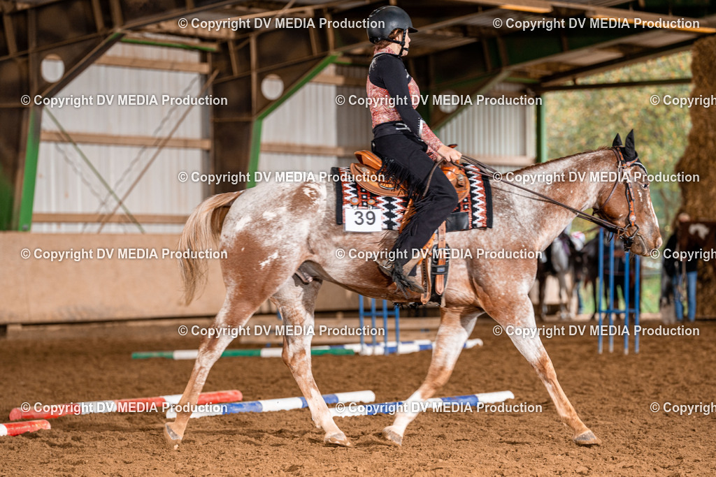 Balingen Tag 1-100 | dv-media-shop - Realisiert mit Pictrs.com