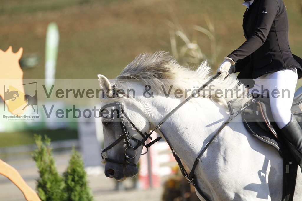 _MG_1052 | equestrian-live-com