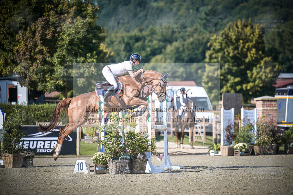 DOS_3379 | Entdecke hochwertige Reitturnierfotos von Foto Oger. Professionell, emotional und authentisch – jetzt Lieblingsmomente im Shop bestellen. - Realisiert mit Pictrs.com