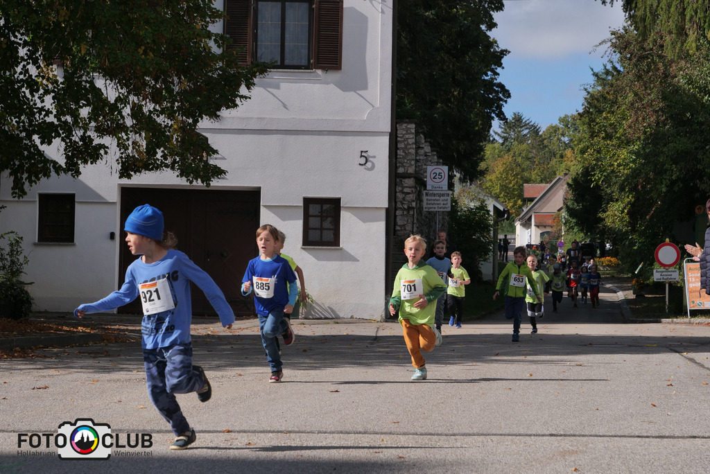 P1017482 | Foto Buchgraber