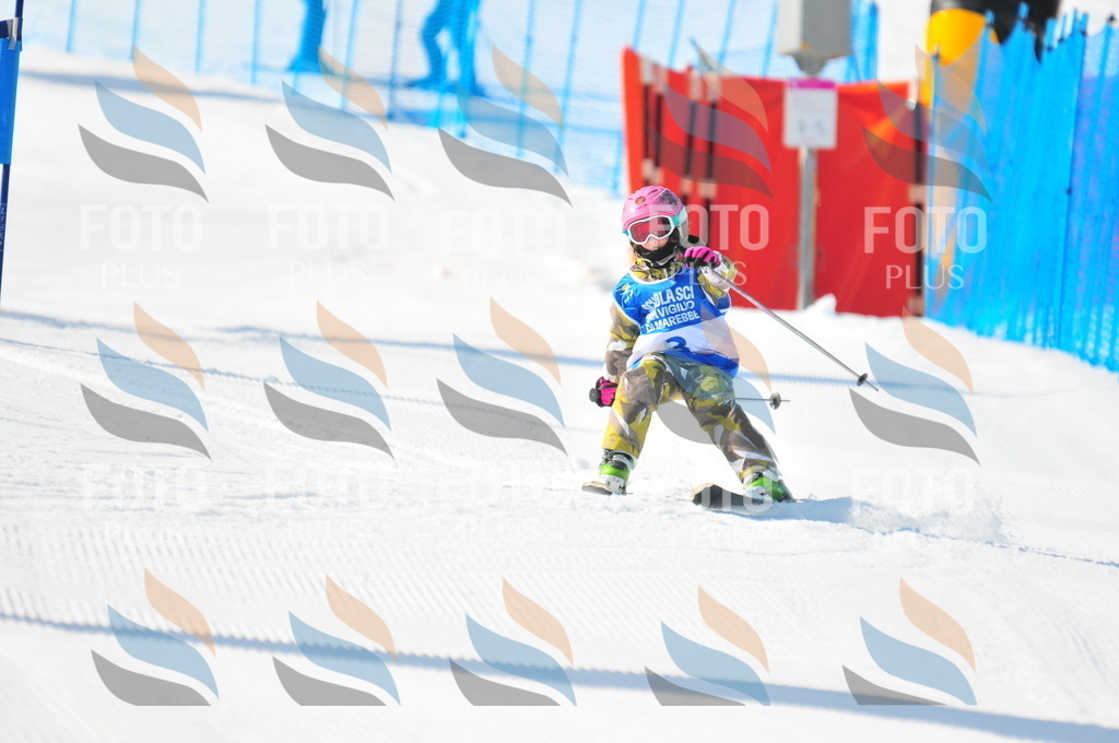 B9158 | holidayphoto