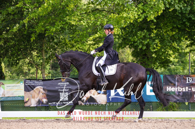 DKP41740 | Deine Turnierfotos vom Reitturnier online kaufen: Dressur, Springen & Siegerehrung. Professionelle Pferdefotografie aus dem Rheinland – als Download & Print.Alternative: Turnierfotograf für den Pferdesport: Finde deine Fotos von Dressur- und Springturnier