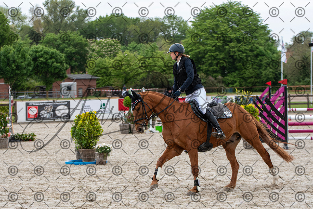 KPT_7655 | andre_photographic