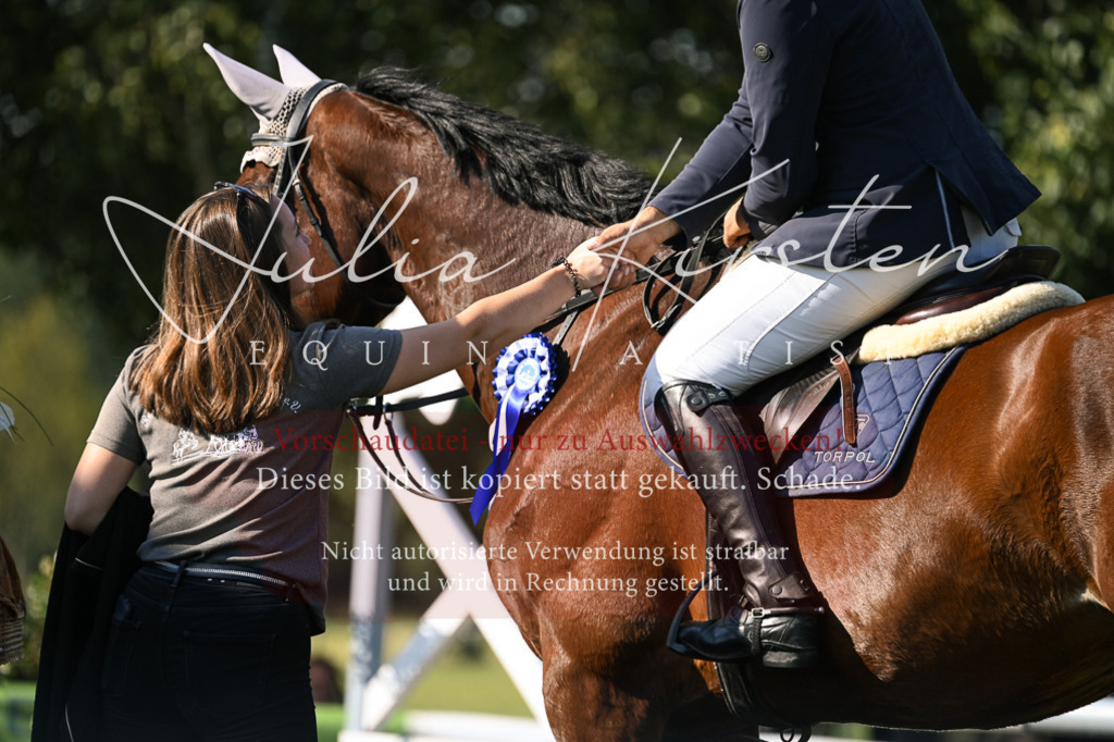 DSC_1534 | Pferde- und Turnierfotografie in Westsachsen. Pferdeportraits, Auftragszeichnungen und intuitive Kunst.