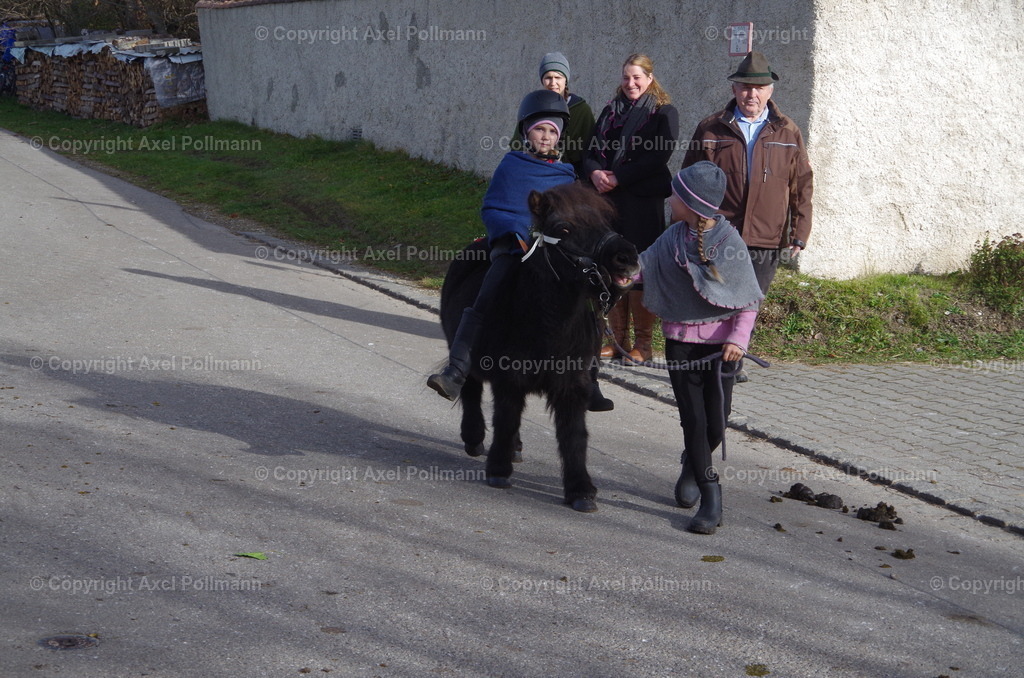 IMGP0917 | fotografiert von Axel PollmannLeonhardi Wallfahrt Benediktbeuern und Murnau, Fronleichnam, Fasching, Landschaft im Loisachtal und Benediktbeuern  - Realisiert mit Pictrs.com