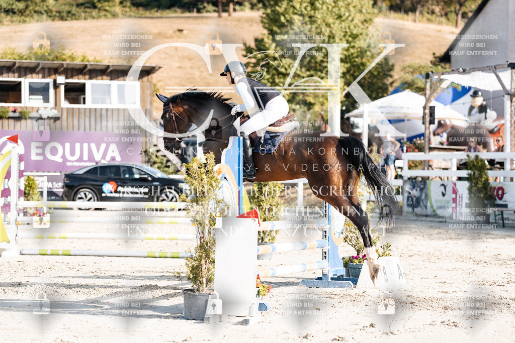 CK909557 | Turnierfotografie Pferdefotografie Trier Rheinland-Pfalz Pferdesport Reitsport Tierfotografie Sportfotografie Pferdevideo Pferdevideografie Equestrianvideography equestrianphotography  - Realisiert mit Pictrs.com