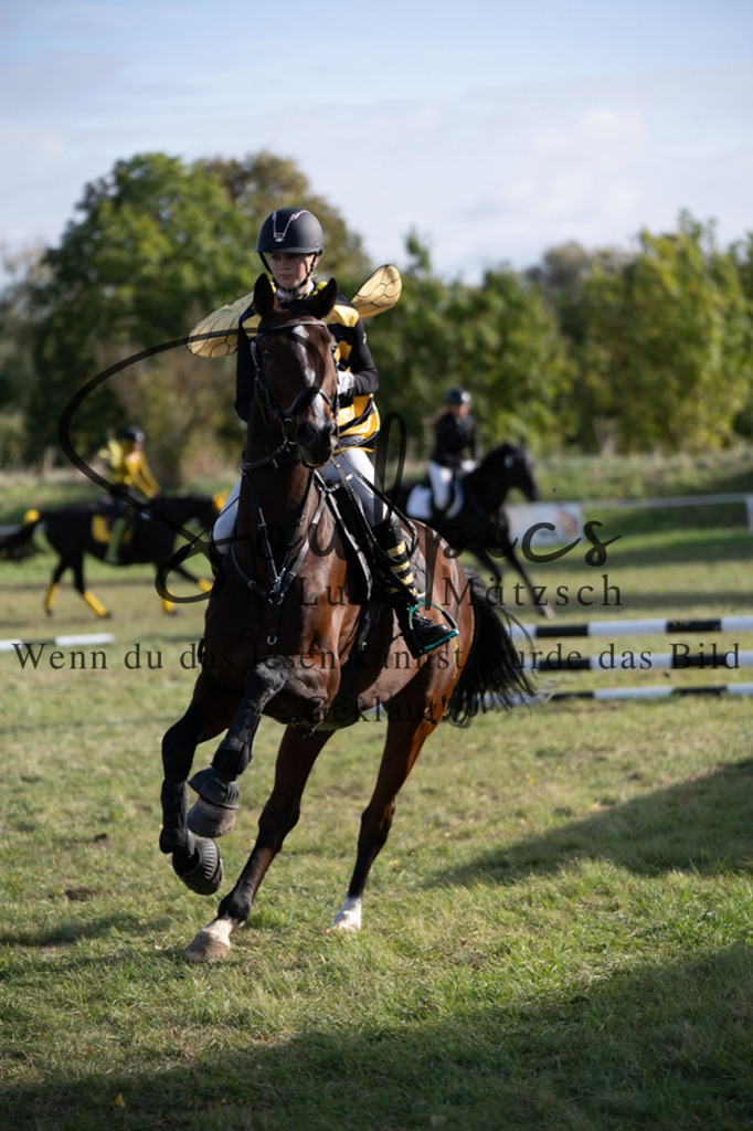 A7V06617 | Pferdefotograf