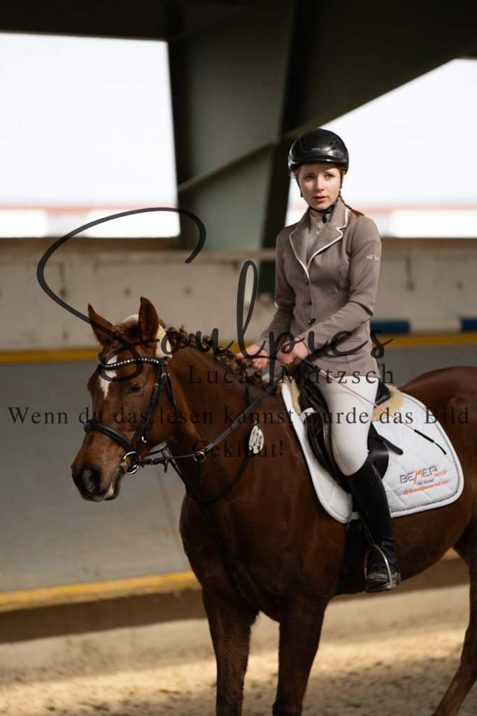 A7V04019 | Pferdefotograf