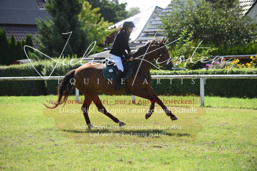 DSC_9340 | Pferde- und Turnierfotografie in Westsachsen. Pferdeportraits, Auftragszeichnungen und intuitive Kunst.