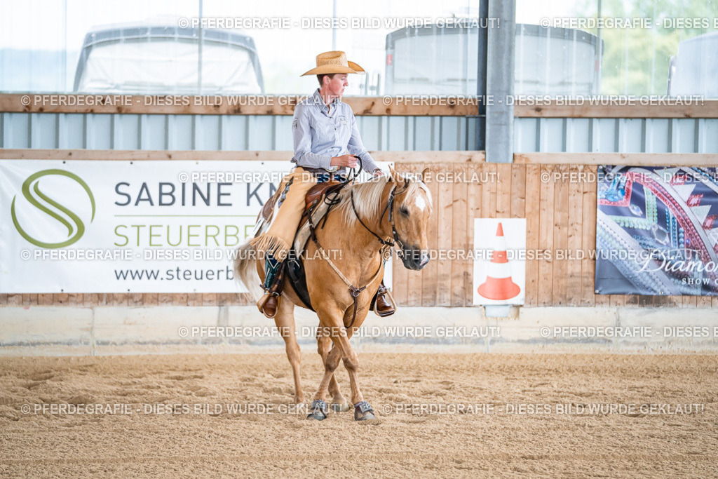 DSC08112 | Pferdegrafie