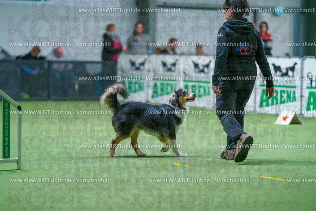 7R501960 | Professionelle Tierfotografie in Mönchengladbach von Daniel Wirth (allesWIRTHgut). Liebevolle & natürliche Bilder von Hunden & Katzen für unvergessliche Erinnerungen.