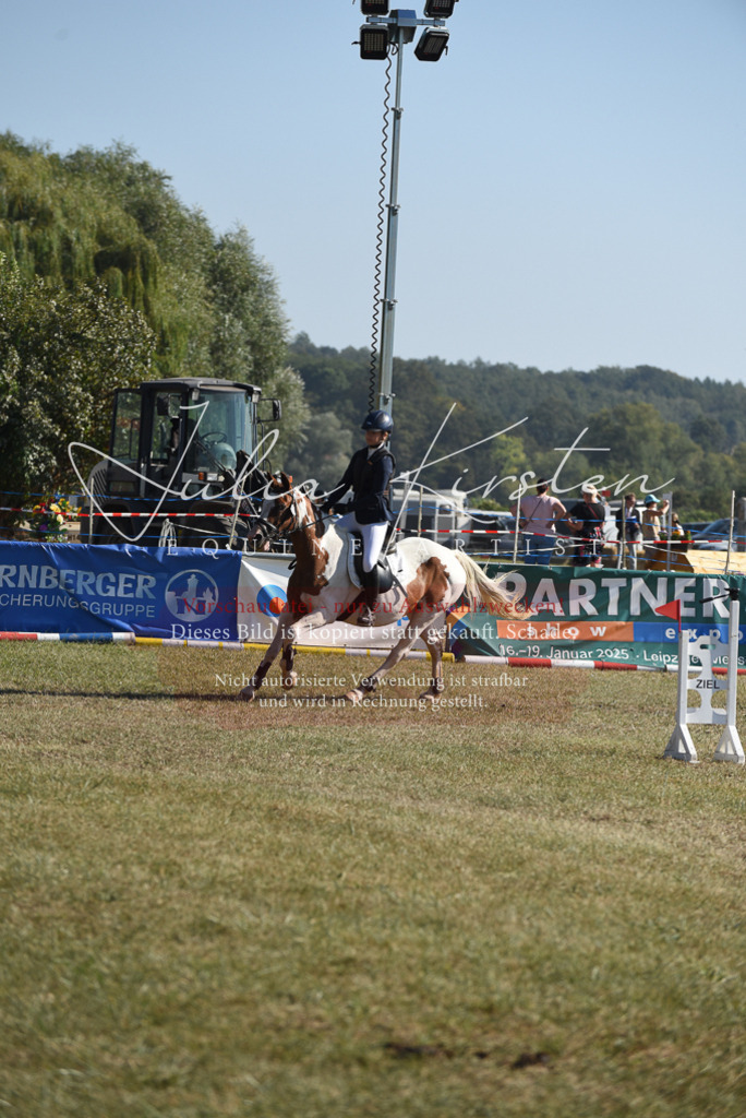 DSC_6031 | Pferde- und Turnierfotografie in Westsachsen. Pferdeportraits, Auftragszeichnungen und intuitive Kunst.