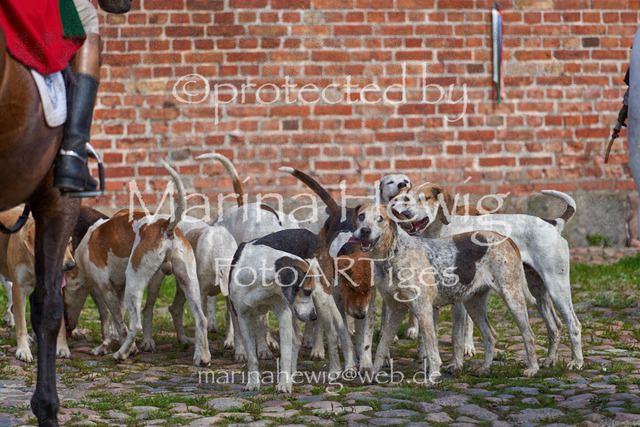 _MCH8517_Marina Hewig | Fotografie, FotoArt, PferdesportArt, Pferdesportfotografie, Landschaftsfotografie, Reisefotografie, Reise, Pferde - Realisiert mit Pictrs.com