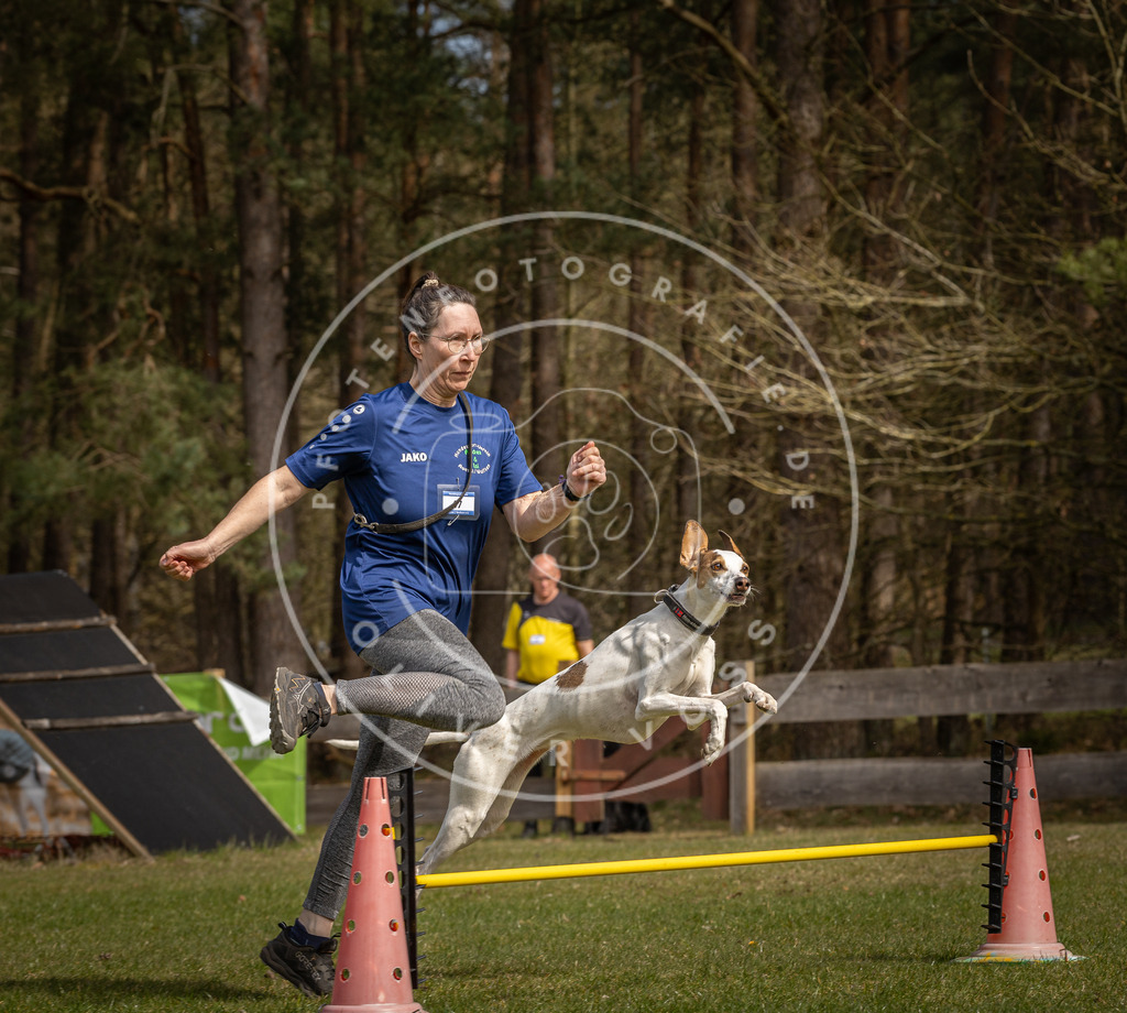 Pfotenfotografie_DV3A6978 | Hundefotografie, Tierfotograf, Pfotenfotografie, Fotoshooting Hund, Hunde Portrait, Hundesport, Hundeportraits, Heideshooting, Hunde, Sportfotograf, Hundefotograf, Turnierhundsport, THS,  - Realisiert mit Pictrs.com