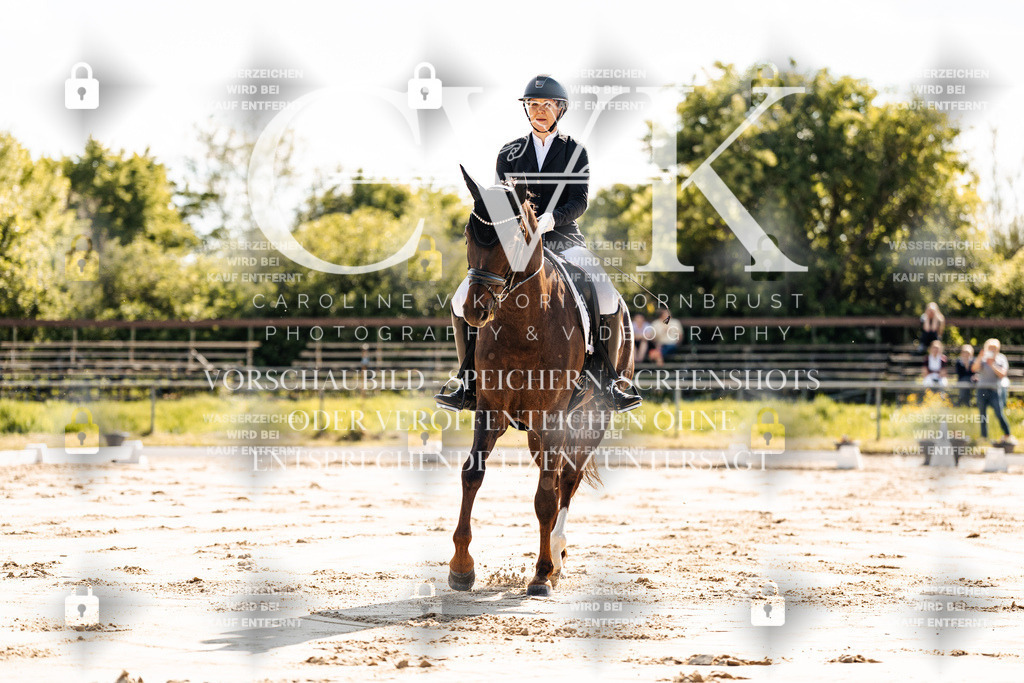 CK909196 | Turnierfotografie Pferdefotografie Trier Rheinland-Pfalz Pferdesport Reitsport Tierfotografie Sportfotografie Pferdevideo Pferdevideografie Equestrianvideography equestrianphotography  - Realisiert mit Pictrs.com