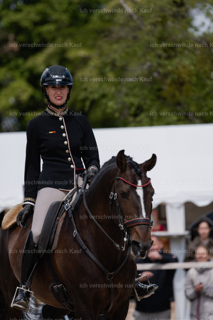 PI26_SP_StoibphotographyC2_C3642.CR3 | working equitationturnier fotograf videograf stoibphotography marixx film working equitation deutschland reitsport turnierfotografie eventfotografie equestrian events