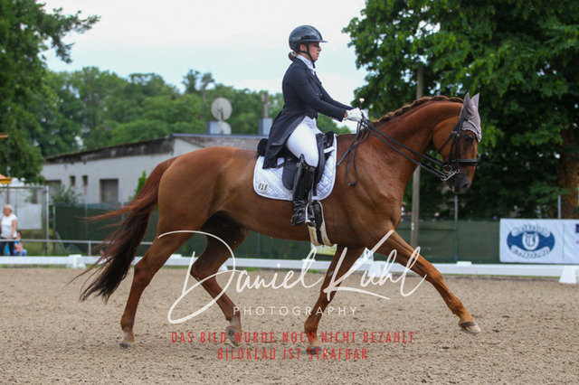 DKP41480 | Turniersportfotografie; Pferdefotografie; Dressurfotografie