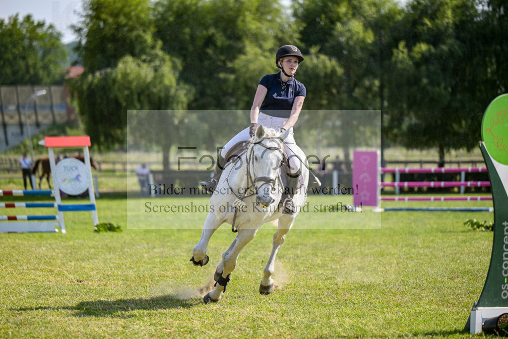 Reitturnier Voxtrup | Entdecke hochwertige Reitturnierfotos von Foto Oger. Professionell, emotional und authentisch – jetzt Lieblingsmomente im Shop bestellen. - Realisiert mit Pictrs.com